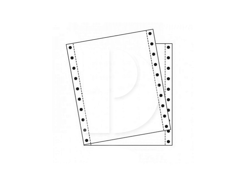 Computer Form 2ply NCR (W/W) 9.5 x 11 (450Fans)